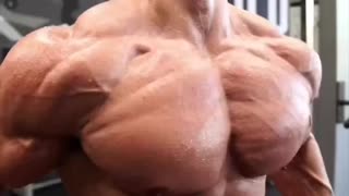 Chest Workout🏋️‍♀️🏋️‍♀️🏋️‍♀️/WhatsApp status 🔥🔥🔥