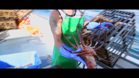 Western Australia Rock Lobster: celebrating 15 years of MSC certified lobster
