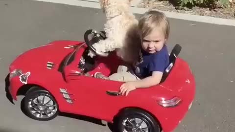 Cute_baby_and_cut_dog_drive _car