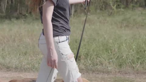 Woman Walking On The Street With Dog