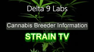Delta 9 Labs - Cannabis Strain Series - STRAIN TV