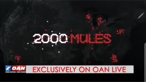 #2000MulesMovie