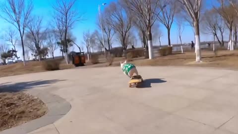 A dog who can skateboard, the music plays, and he is unhappy every day