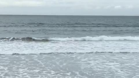 Red surf board turns over man shouts kook of the day
