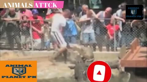 animal attack on human| danger animal| naughty animal| fight