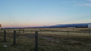 2020-12-29 Moonrise @ Adelaide Airport 04 Bird part 2 of 2