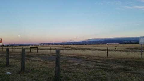 2020-12-29 Moonrise @ Adelaide Airport 04 Bird part 2 of 2