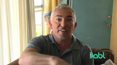 Cesar Millan Faces a Pitbull Terrorizing a Neighborhood | Cesar 911