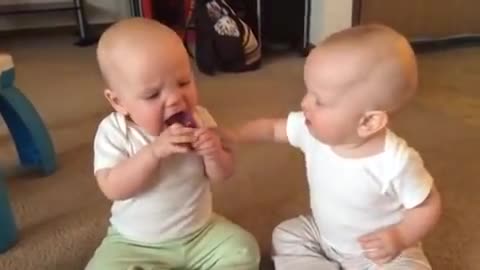 Twins baby funny fight together