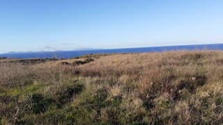 Sardinian mediterranean scrub vegetation