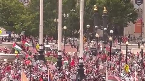 "Anti-Israel Protesters Tear Down U.S. Flags in D.C. During Netanyahu's Congress Speech"