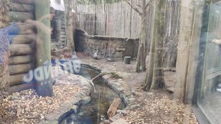 Otter VID_20231229_122906