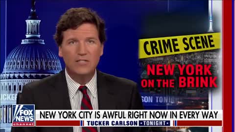 Tucker: Liberals 'horrified' NYC mayor candidate wants to carry a gun