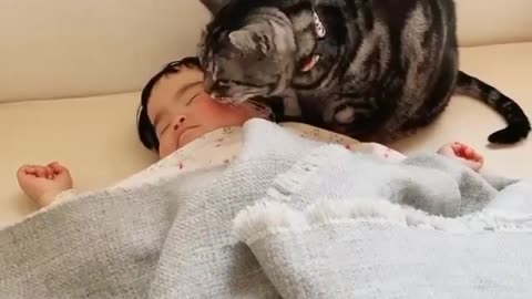 The tenderness of the cat on the child