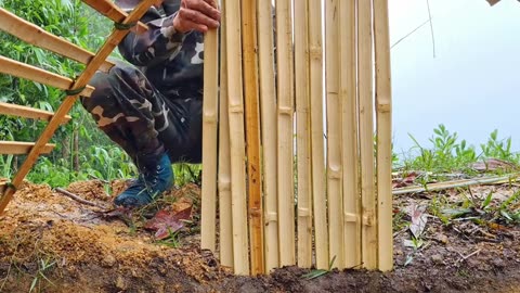 Build a tree house in the forest using local materials. #WildBuild #OutdoorSurvivalGuide