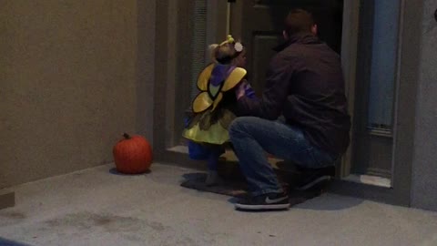 Young Girl Trick or Treating Takes a Tumble