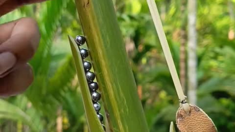 Bamboo Art