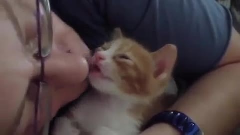 Bengal kitten adorably snuggles with his human dad