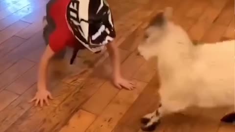 kid vs goat who will win