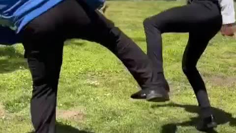 Fight in the Park