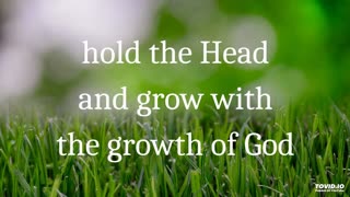 hold the head and grow with the growth of God