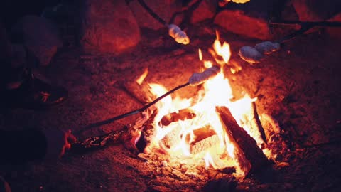RELAXING CAMPFIRE: 2 Hours of Relaxing Campfire, Sleep, Meditation, Relaxation