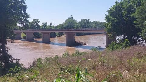 Brazos River, high water, birds/bridge