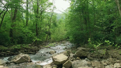 Nature walk