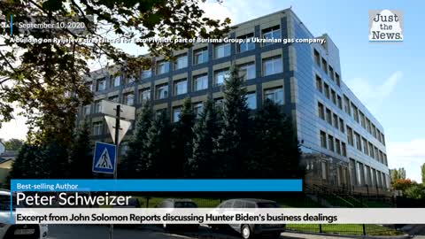 Media unwilling to explore Hunter Biden business dealings, author Peter Schweizer says