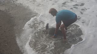 Lending a Beached Sea Turtle a Helping Hand