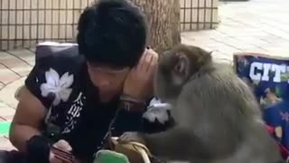 Man and monkey share a secret