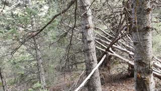 American Fork Canyon Sasquatch Structures