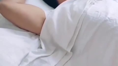 A DOG WAKING UP IT OWNER