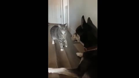 Funny reaction when they meet again after for so long