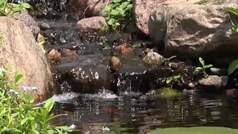 THE RELAXING SOUND OF THE GARDEN POND