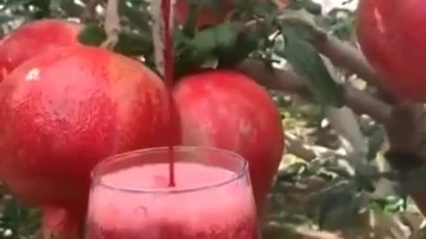 pomegranate drink