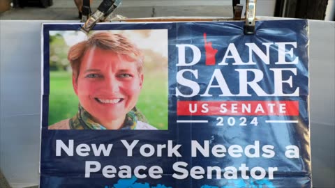 ¿Quién es Diane Sare?