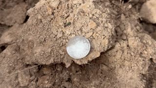 King William IIII Sterling Silver In The Hole Metal Detecting