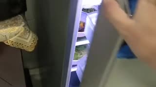 Kitty Keeps Cool in Refrigerator