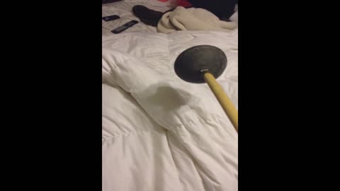 Woman Is Terrified Of Dirty Toilet Plunger