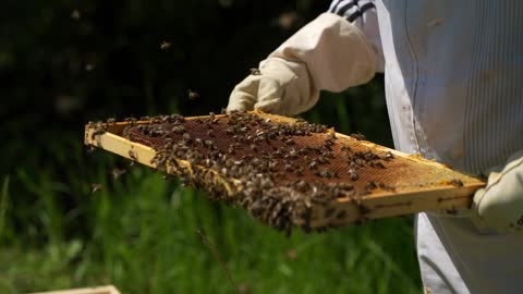 How we make a delicious Honey