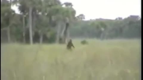 Bigfoot Videos Sasquatch Footage Mountain Monsters Video