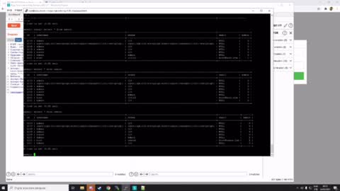 Boot - Mass Assignment Vuln