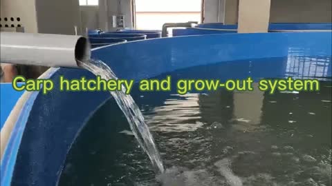 Carp \ catfish hatchery system in Uzbekistan? | eWater