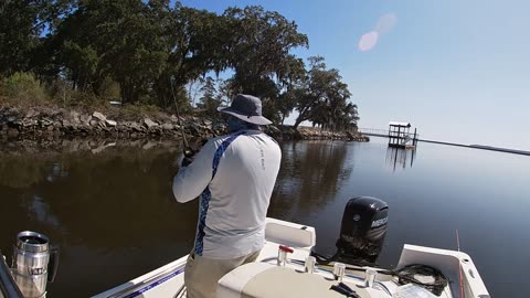 Free Fiddlers Means Sheepshead