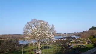 At a Riverside pub