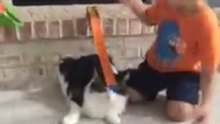 Kid uses incredibly tolerant cat for toy car ramp