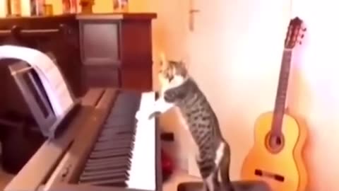 Funny Animals Shorts Compilation😂😂😂Ep 368 #catfunny #cat #dogshorts #dogfunny #dog #funnyshorts