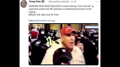 DAMNING NEW VIDEO RELEASED: Crowd chanting “Fed, Fed, Fed”