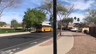 Bus T255 driving by.